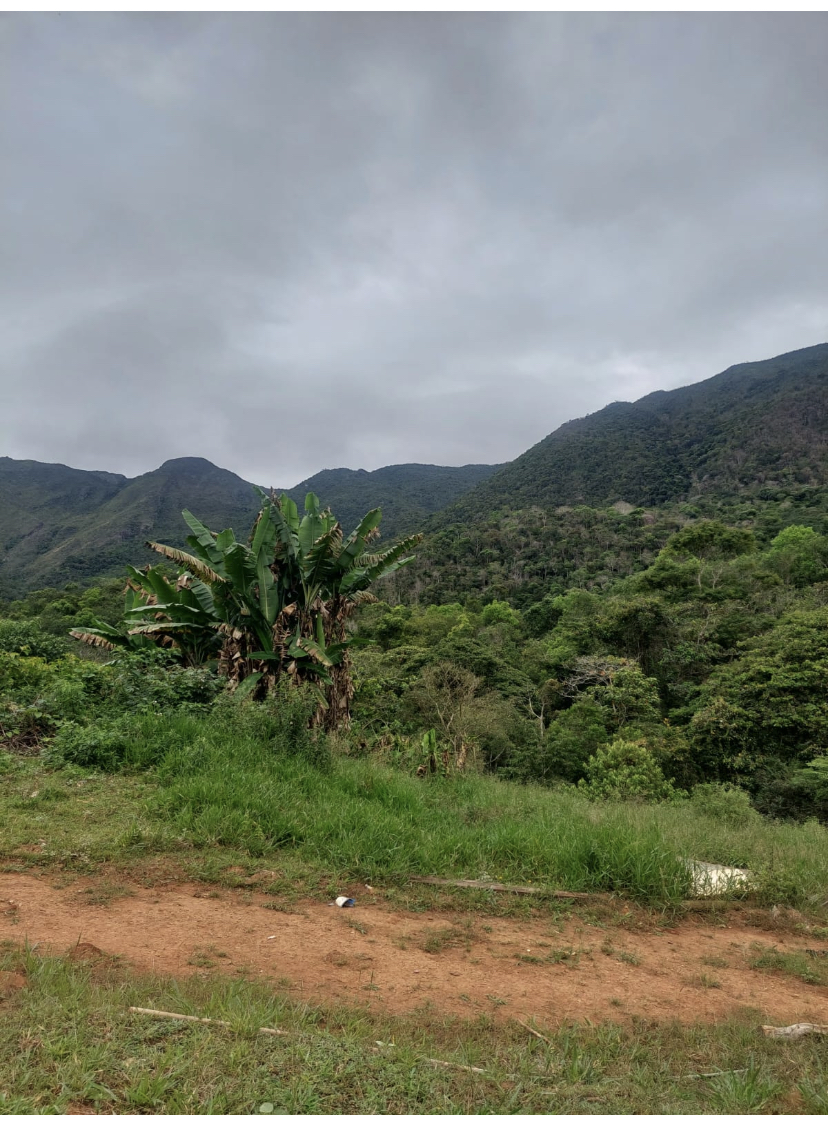 Fazenda à venda, 148hectare - Foto 8