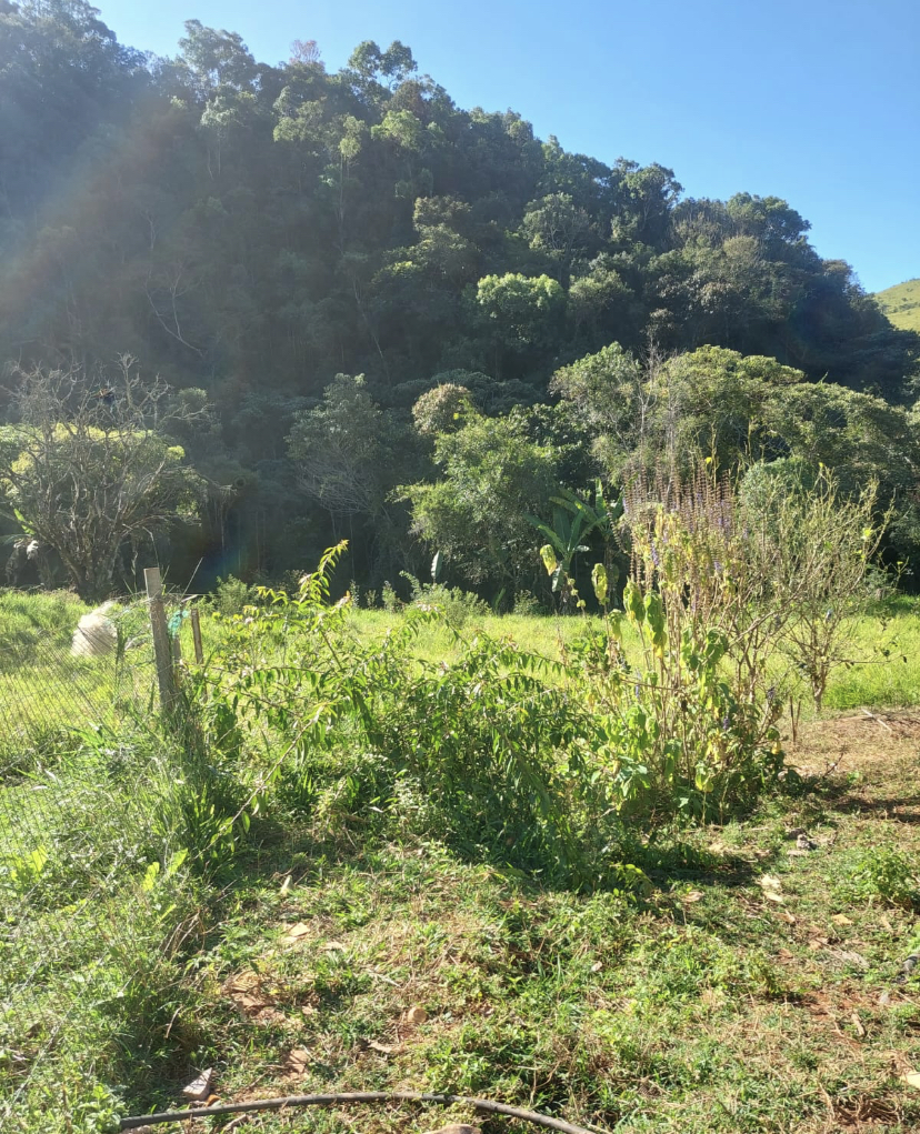 Fazenda à venda, 148hectare - Foto 10