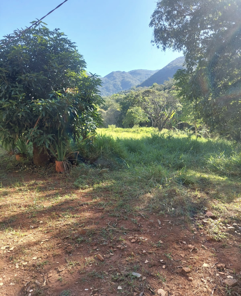 Fazenda à venda, 148hectare - Foto 3