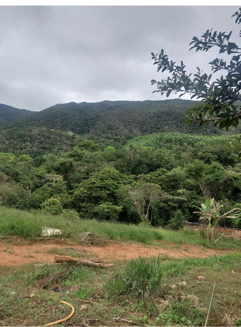 Fazenda à venda, 148hectare - Foto 7