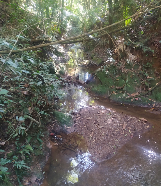 Fazenda à venda, 30hectare - Foto 4