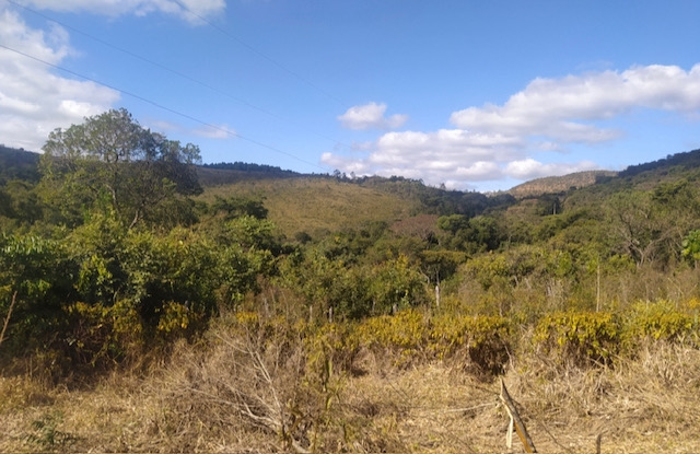 Fazenda à venda, 30hectare - Foto 8