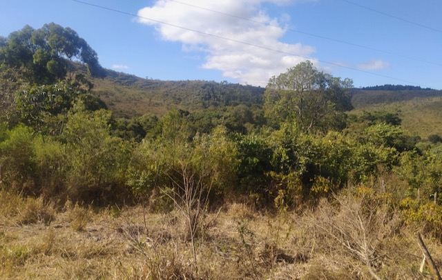 Fazenda à venda, 30hectare - Foto 7