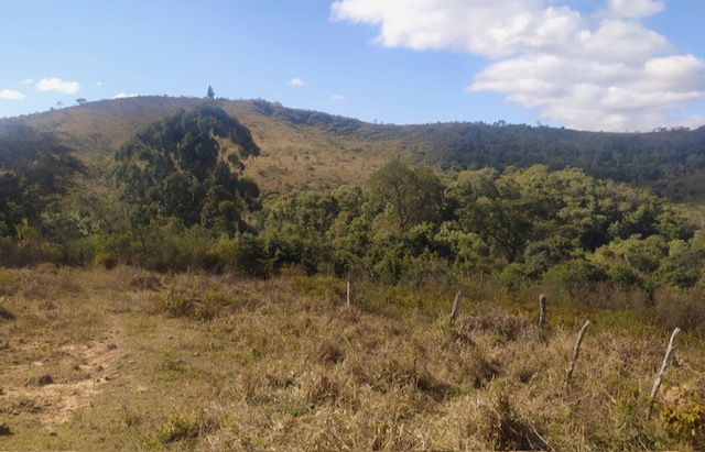 Fazenda à venda, 30hectare - Foto 1