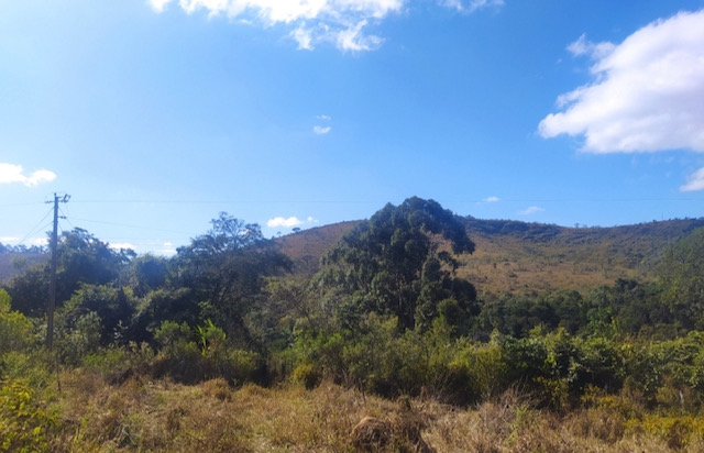 Fazenda à venda, 30hectare - Foto 3