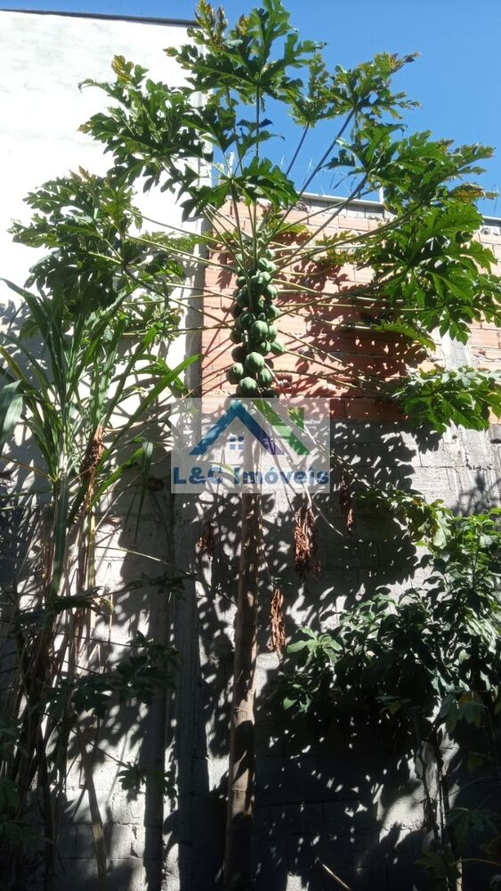 Terreno, 400 m² - Foto 7