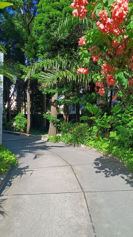 Apartamento, 4 quartos - Foto 2