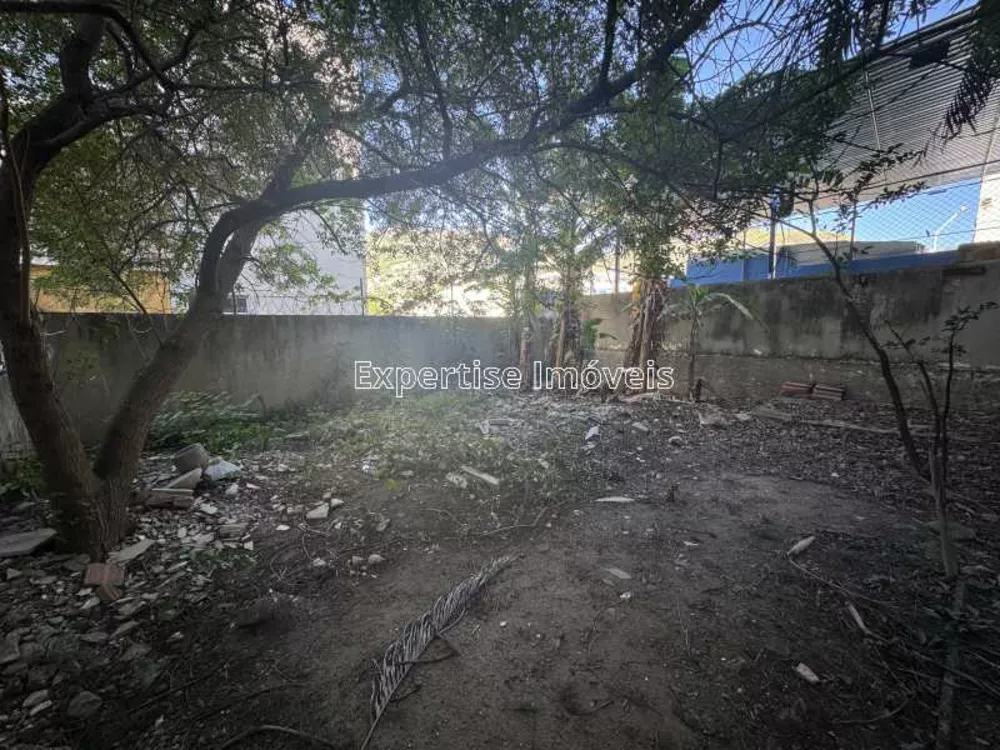 Casa, 5 quartos, 414 m² - Foto 6