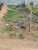 Terreno, 125 m² - Foto 3