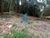 Terreno, 2150 m² - Foto 3