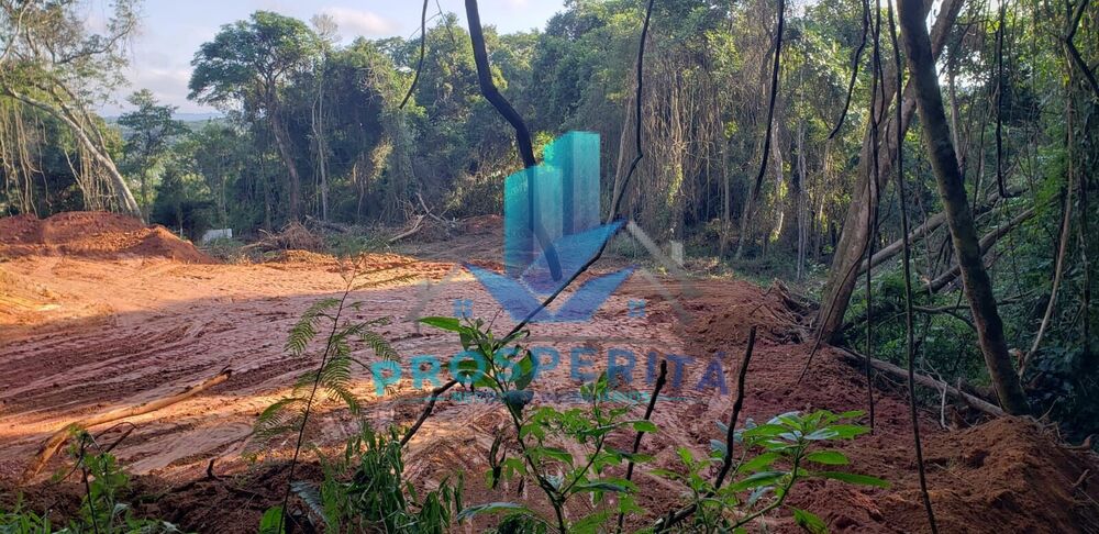 Terreno à venda, 2500m² - Foto 3