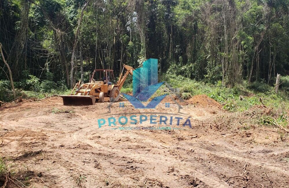 Terreno à venda, 2500m² - Foto 2