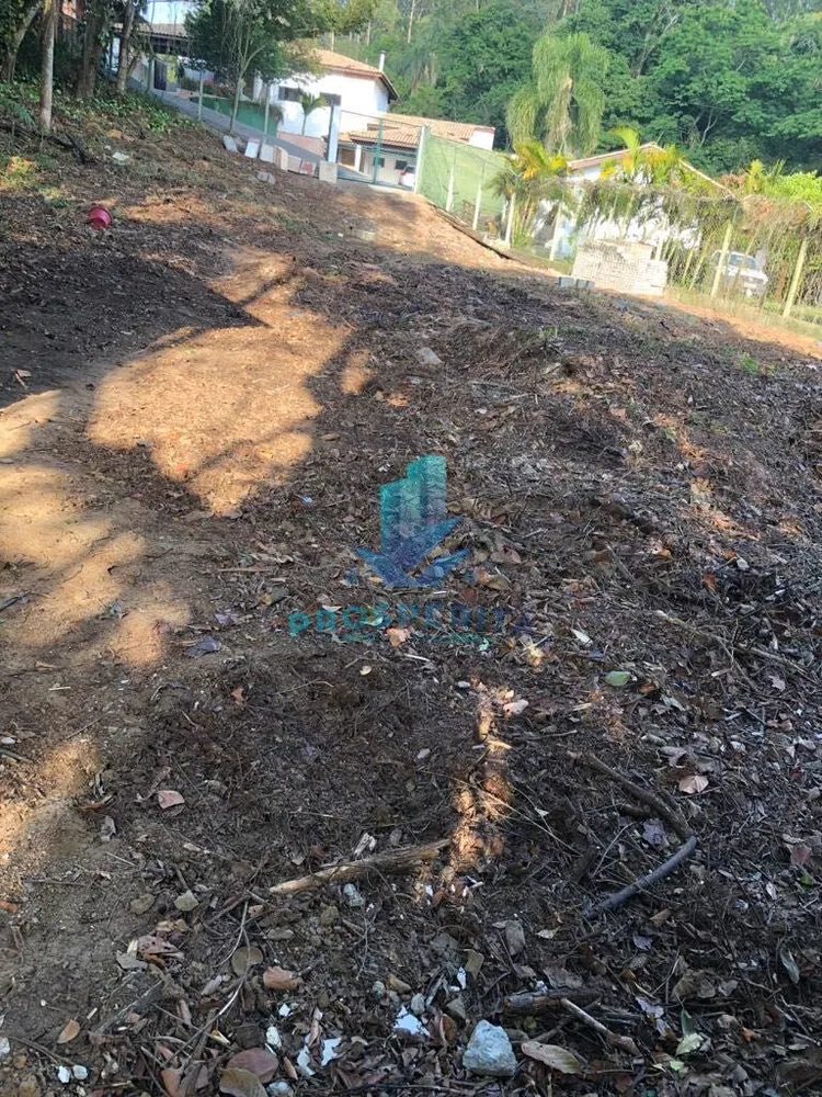 Terreno, 10 hectares - Foto 4