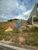 Terreno, 385 hectares - Foto 1