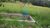 Terreno, 3 hectares - Foto 2