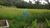 Terreno, 3 hectares - Foto 4
