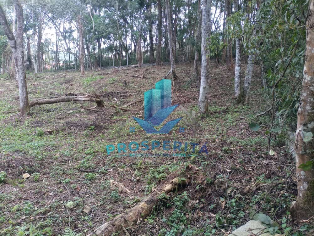 Terreno, 1750 m² - Foto 2