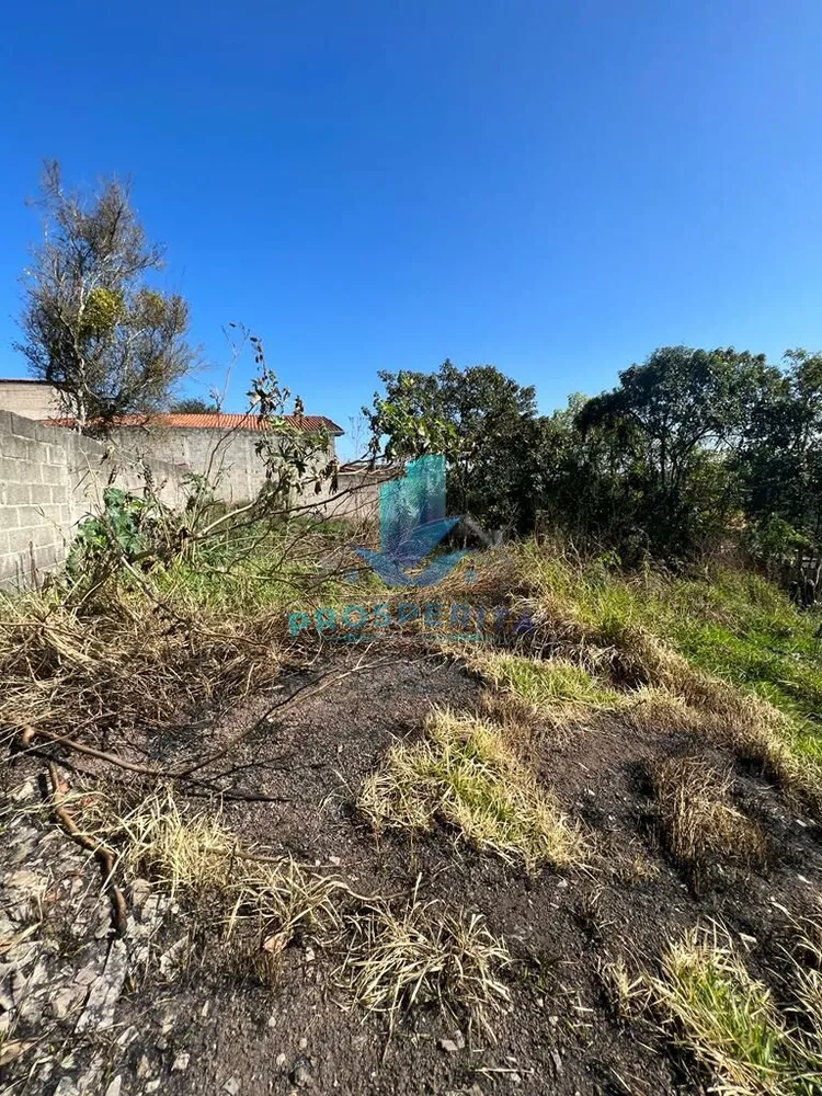 Terreno, 1299 m² - Foto 8