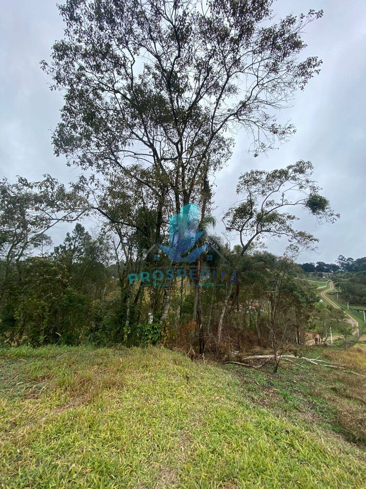 Terreno, 1049 m² - Foto 2