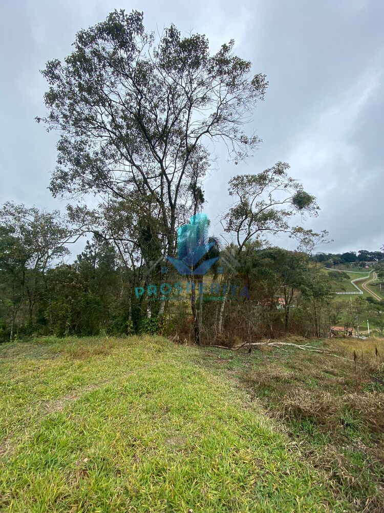 Terreno, 1049 m² - Foto 4