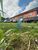 Terreno, 600 m² - Foto 7
