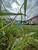 Terreno, 600 m² - Foto 5