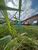 Terreno, 600 m² - Foto 4
