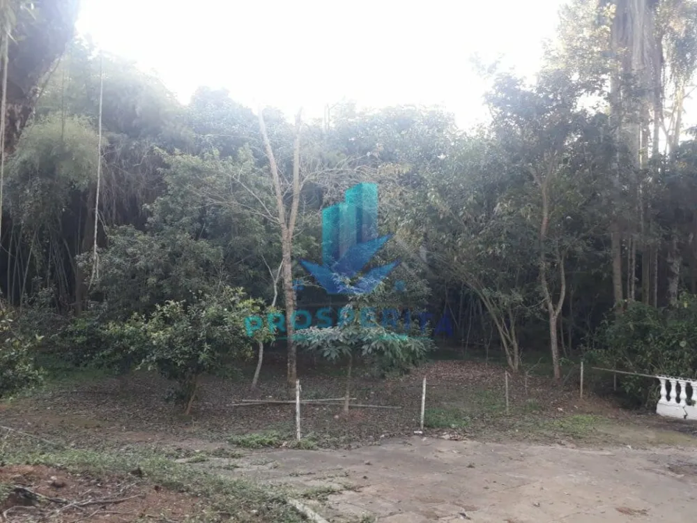 Chácara, 4 quartos, 4000 m² - Foto 7