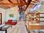 Casa, 5 quartos, 446 m² - Foto 4