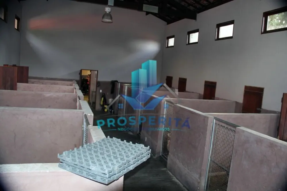 Casa, 3 quartos, 850 m² - Foto 14