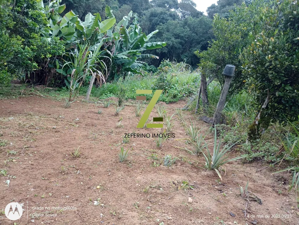 Chácara, 1 quarto, 1000 m² - Foto 11