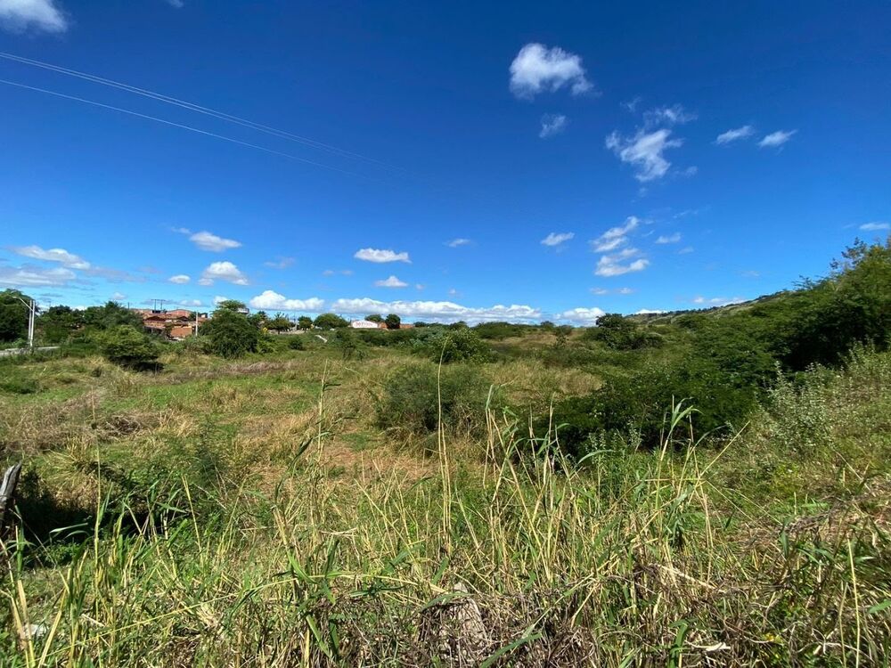 Terreno, 1 hectares - Foto 3