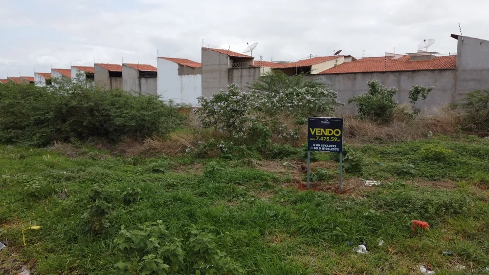 Terreno, 7475 m² - Foto 3