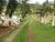 Sítio, 15 quartos, 3 hectares - Foto 4