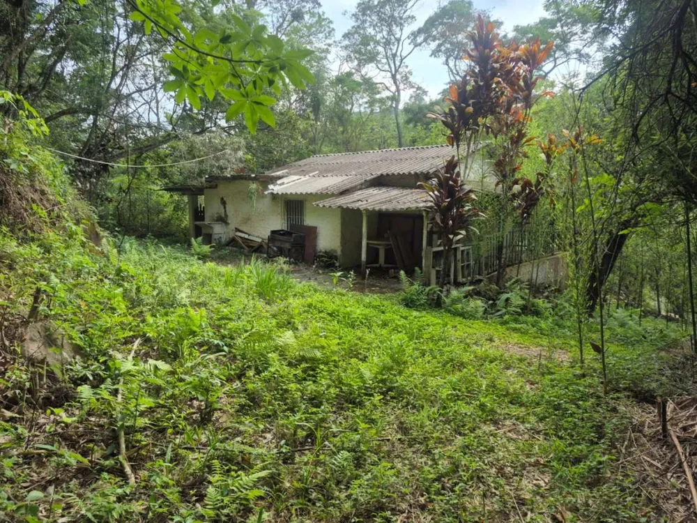 Terreno, 4800 m² - Foto 3