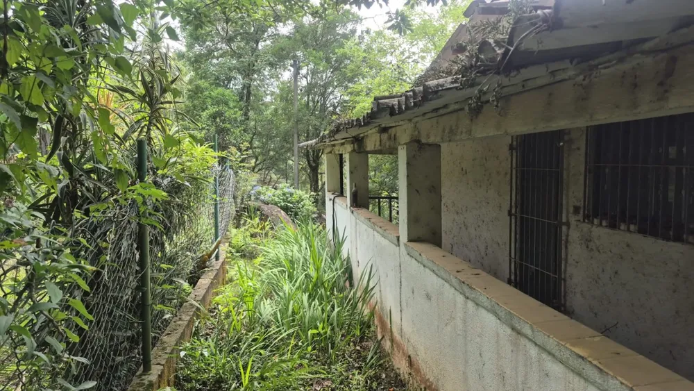 Terreno, 4800 m² - Foto 7