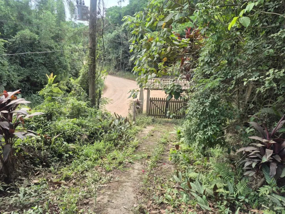 Terreno, 4800 m² - Foto 4
