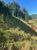 Terreno, 2 hectares - Foto 3