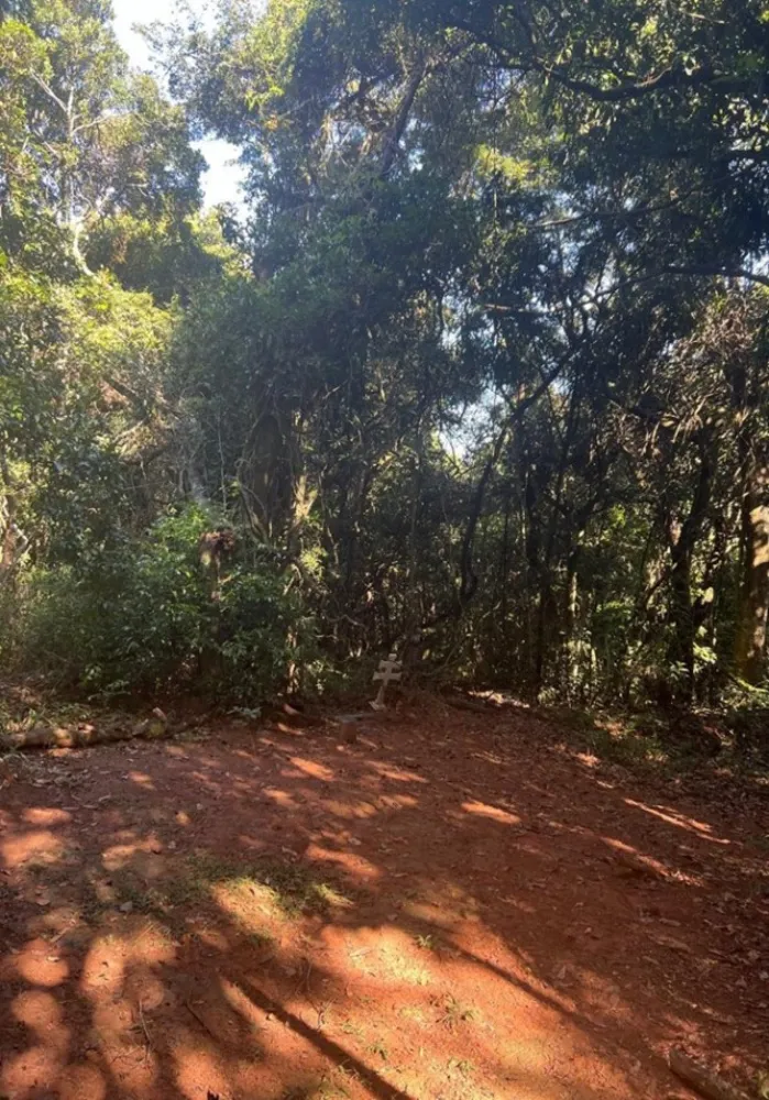 Terreno, 2 hectares - Foto 8