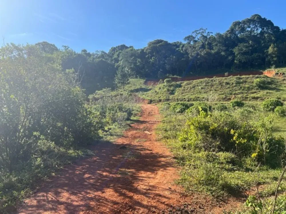 Terreno, 2 hectares - Foto 6