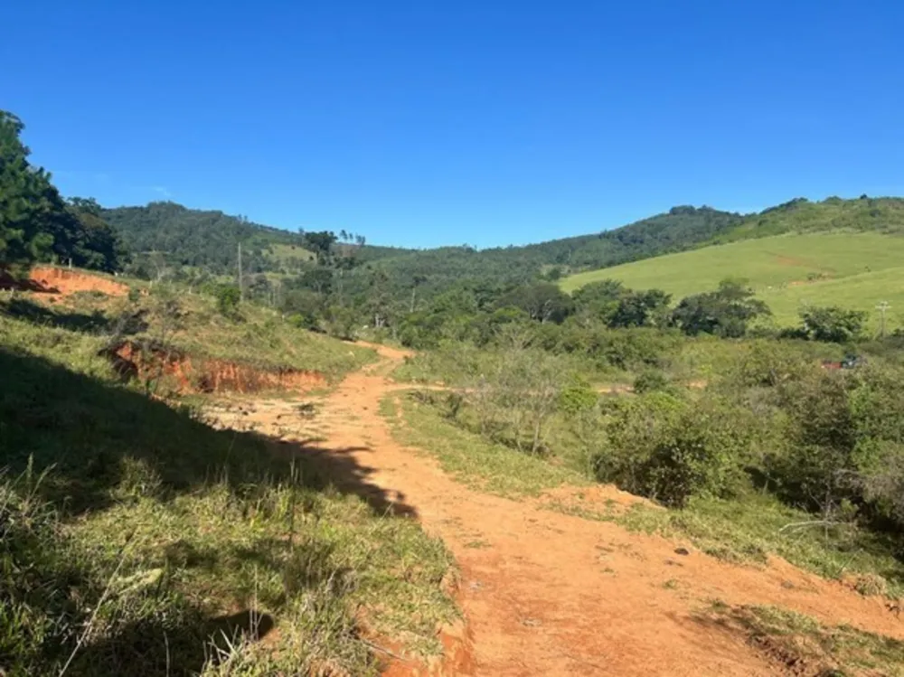 Terreno, 2 hectares - Foto 4