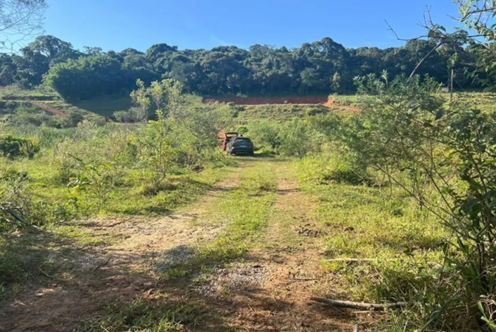 Terreno, 2 hectares - Foto 7