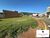 Terreno, 250 m² - Foto 2