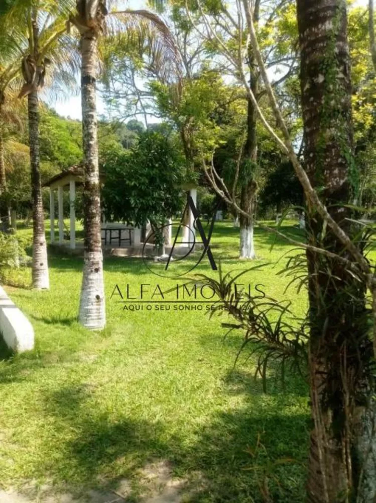 Sítio, 5 quartos, 3 hectares - Foto 19