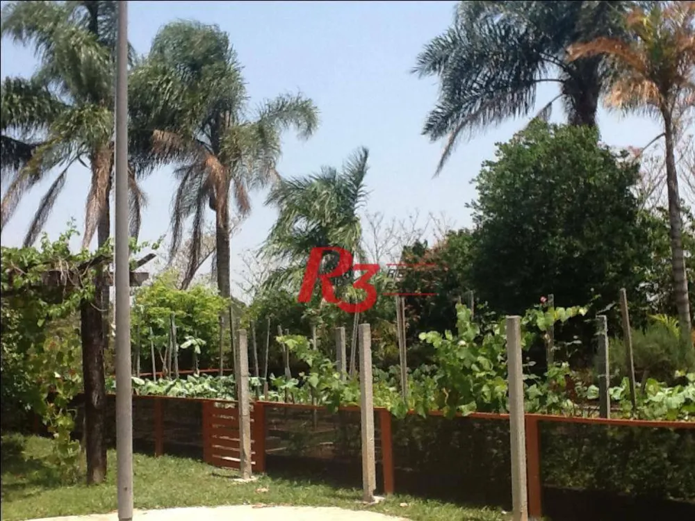 Chácara, 3 quartos, 552 m² - Foto 2