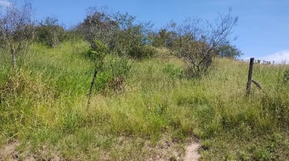 Terreno, 50 m² - Foto 1