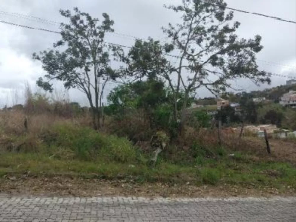 Terreno à venda com 1 quarto, 300m² - Foto 1