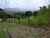 Terreno, 50 m² - Foto 1