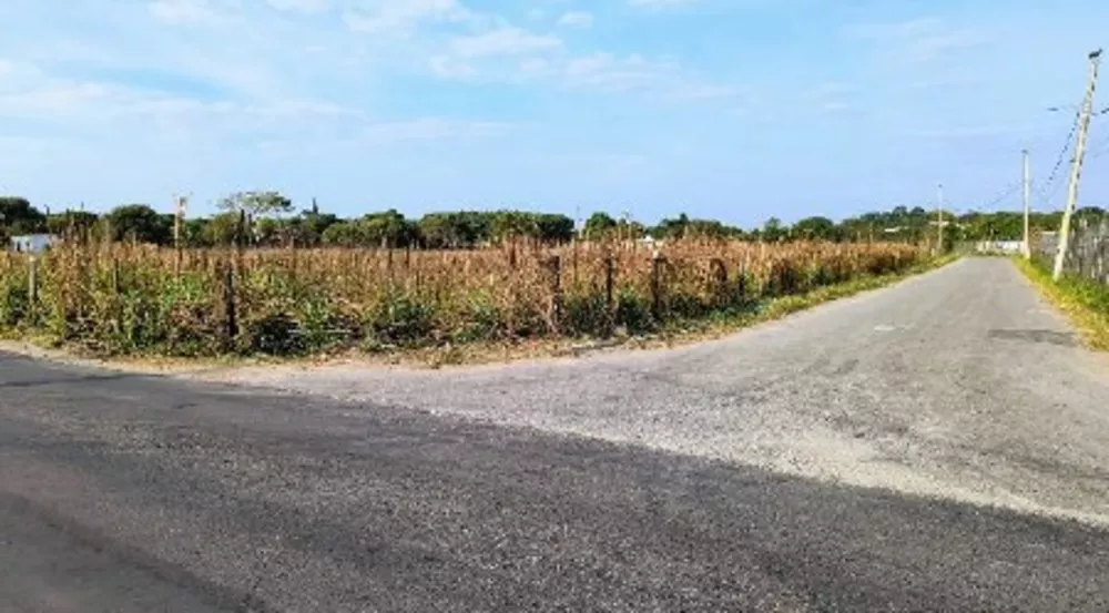 Terreno à venda com 1 quarto, 5000m² - Foto 3