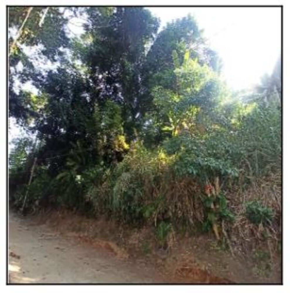 Terreno à venda com 1 quarto, 874m² - Foto 1